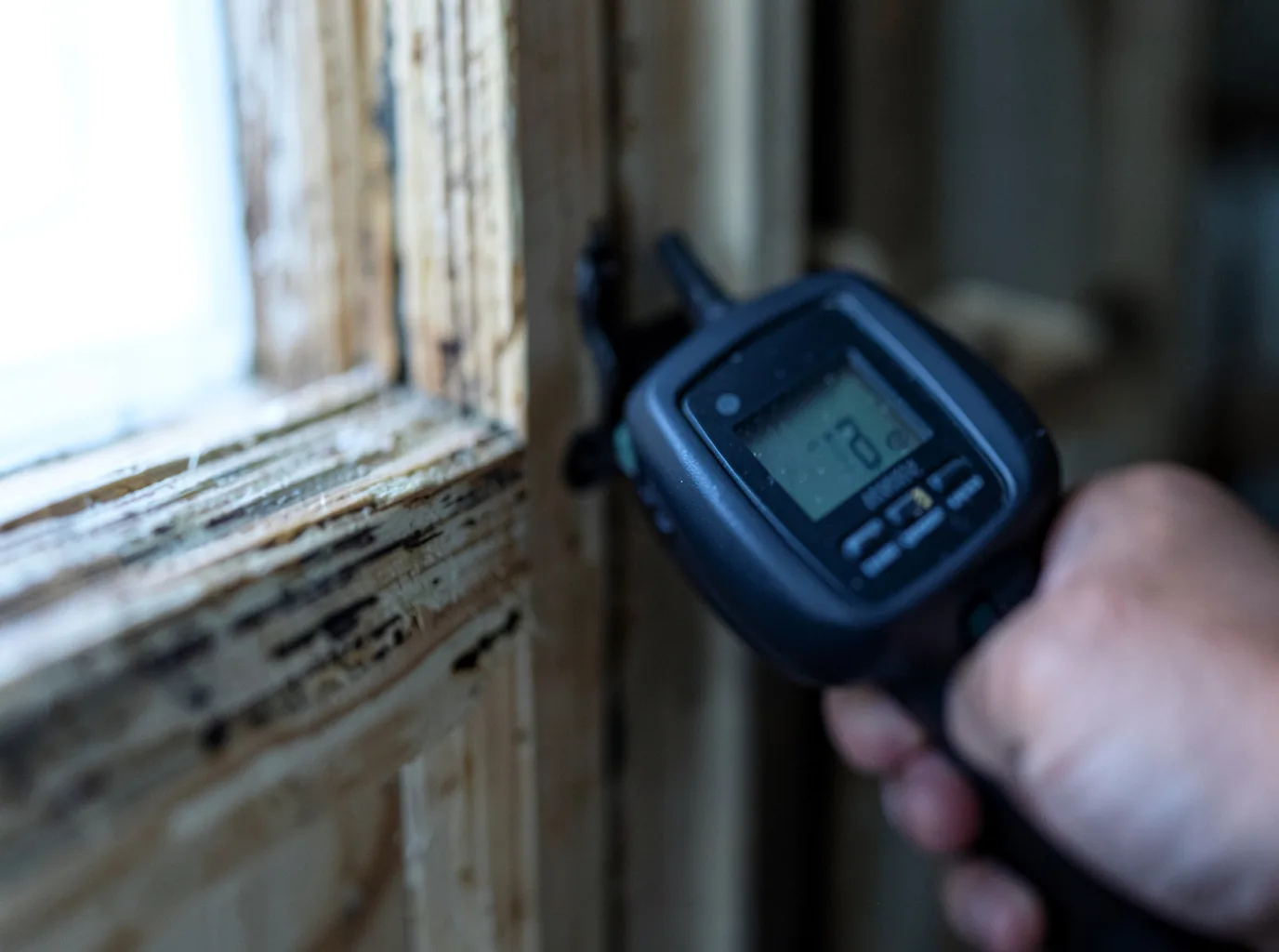 Moisture Inspection And Documentation in Chauncey, WV
